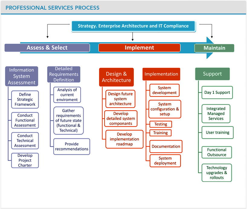 Professional Services Process